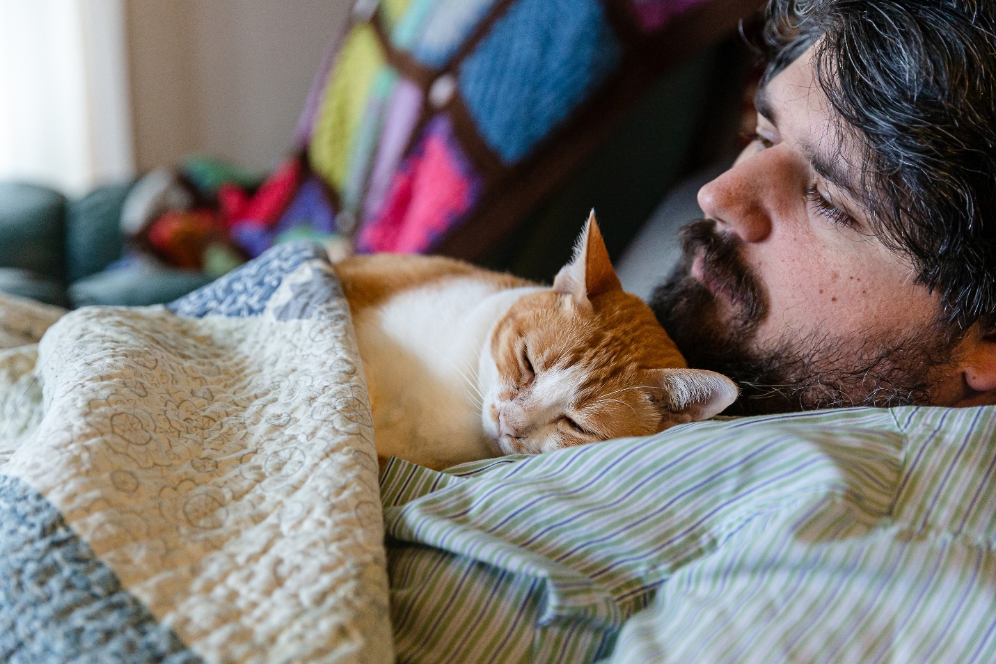 Man resting with cat